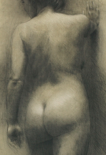 Disegno no. 211