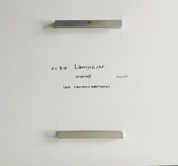 Lamplicht