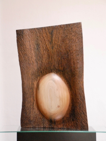 Essentie van Huid