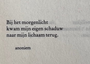 Morgenlicht