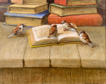 Boeken en mussen