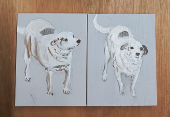 Tweeling hondjes