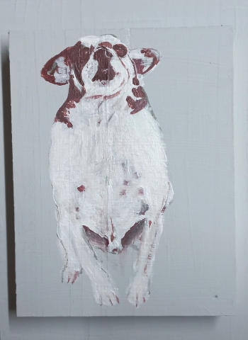 Klein hondje