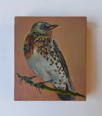 Kramsvogel