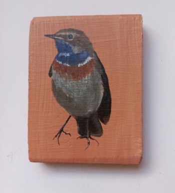 Blauwborst