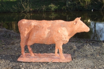 Koe