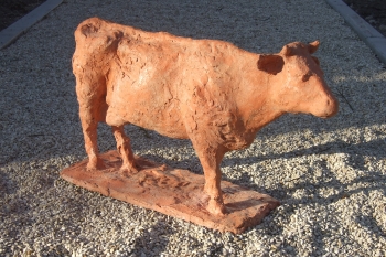 Koe