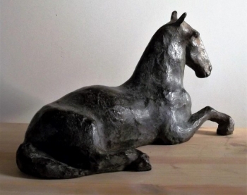Paard met pensioen