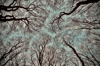 Look up 2