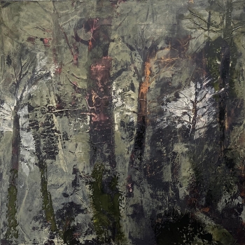 Black forest