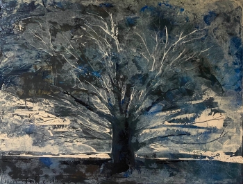 Hemelboom 2