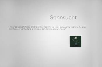 Tulip in a Vase with Butterfly