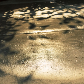Shadows – 3
