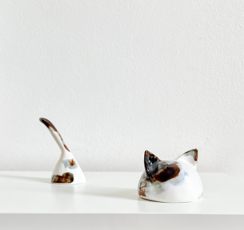 A cat is always in the liminal status