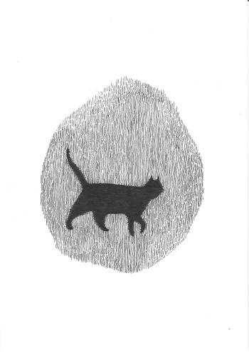 A cat is always in the liminal status