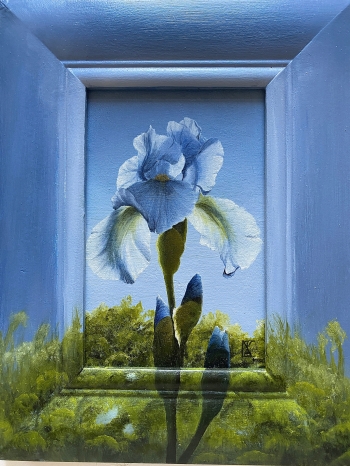 Iris in de zon