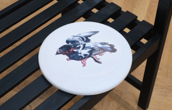 Frisbee for mourning (met bank)