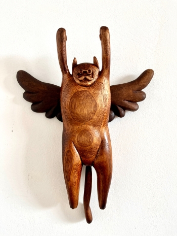 The flying cat