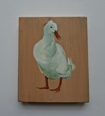 Witte eend