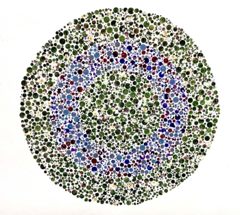 Bloemenweide- kleurwaarneming 1-24