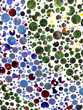 Bloemenweide- kleurwaarneming 1-24