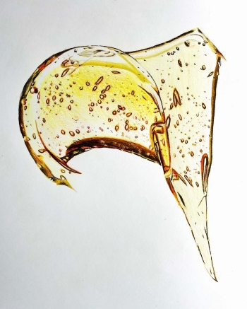 Lijsterbeshoning 21-24