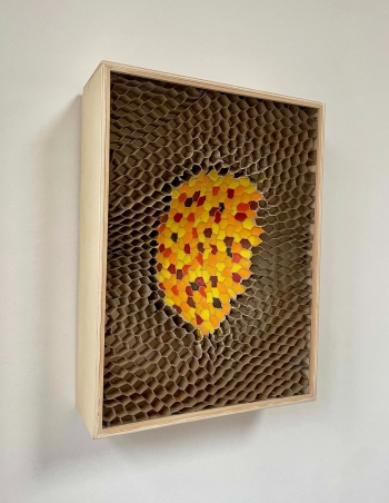 Honingraat groot concaaf 13-2024