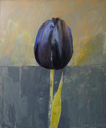 Black tulip 2