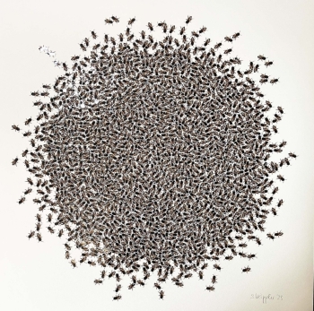 Handgesneden fotocollage 3-2022