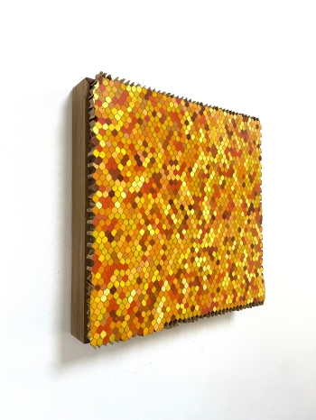 Honingraten 3 b -2025