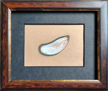 Roestige Parelmoermossel