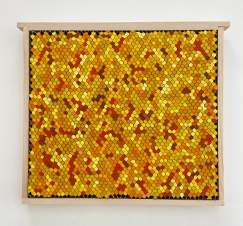 Broedkamer ramen 13-2025