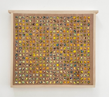 Broedkamer ramen 12-2025