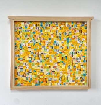 Broedkamer ramen 11-2025