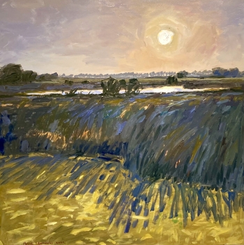 Ochtendlicht op De Kolk