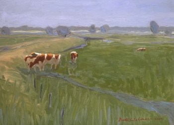 Uiterwaarden bij Hattem