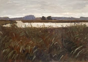 Rietkraag in grijs licht