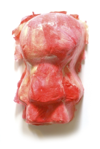 Soortgenoot (rood/wit)