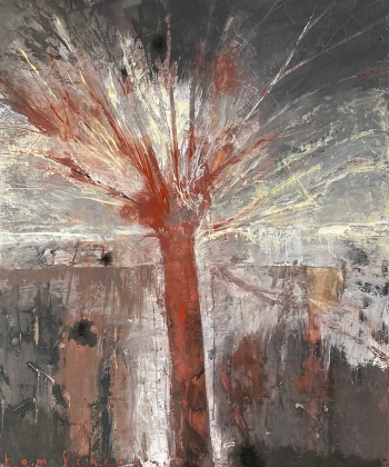 Knotwilg en kogelgaten