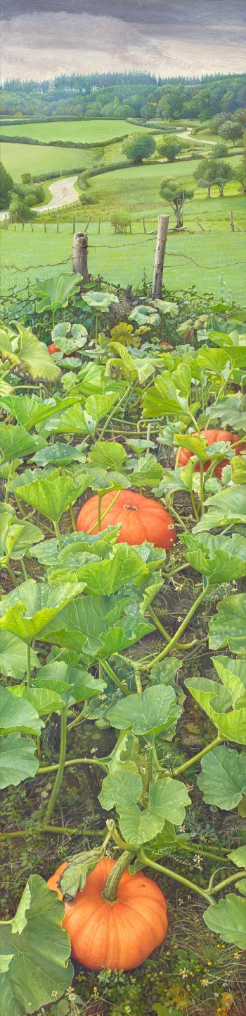 Pompoenen met Uitzicht