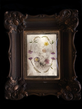 THE DISEMBODIMENT OF REALITY II