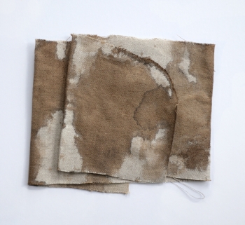 Walnoteninkt 2025-LV