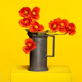 Poem for a jug