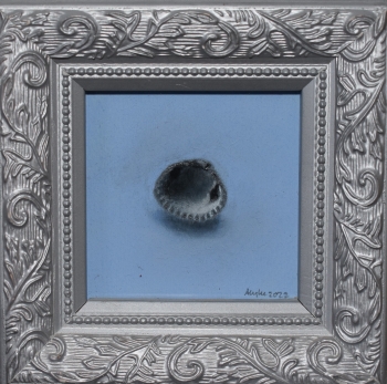 Klein blauwtje ( blauw schelpje)