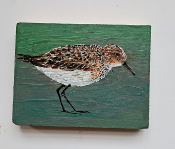 Strandloper