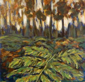Veluwe