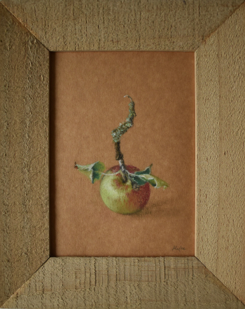 Appeltje 1