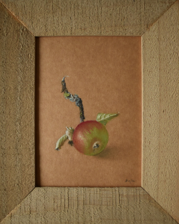 Appeltje 2
