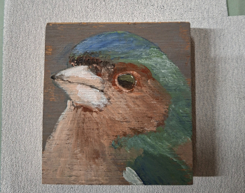 Vink