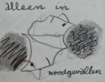 Alleen in noodgevallen